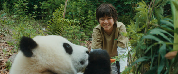 Entretien avec Gilles de Maistre pour Moon le Panda