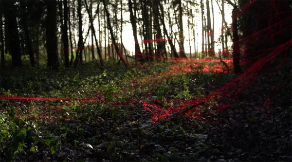 Entretien avec Laurie Lassalle pour Forêt Rouge