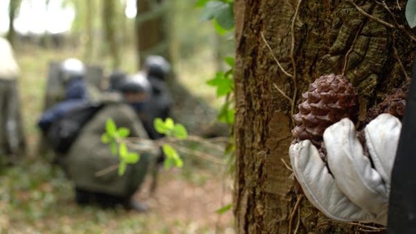 Entretien avec Laurie Lassalle pour Forêt Rouge